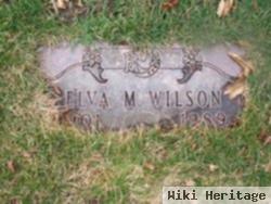 Elva M Wilson