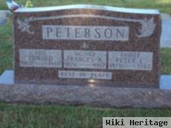 Peter E Peterson