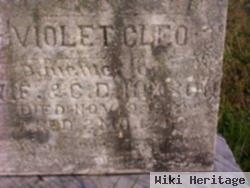 Violet Cleo Hixson