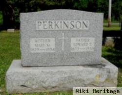 Mary M Perkinson