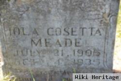 Iola Cosetta Meade