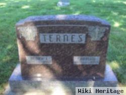 Henry J Ternes