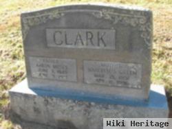 Aaron Moses Clark