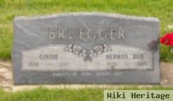 Herman "bud" Bruegger