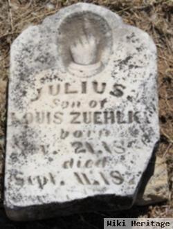 Julius Zueklke