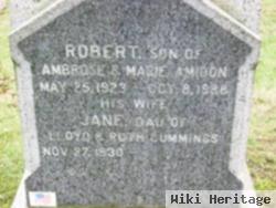 Robert William Amidon