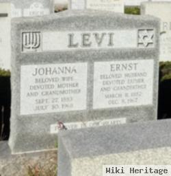 Ernst Levi