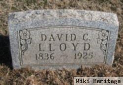 David C Lloyd