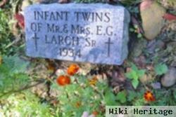 Infant Twins Larch