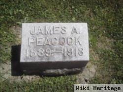 James A Peacock