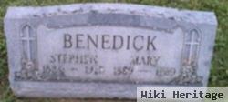 Stephen Benedick