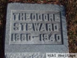 Theodore Steward