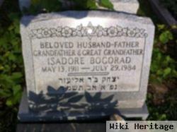 Isadore Bogorad