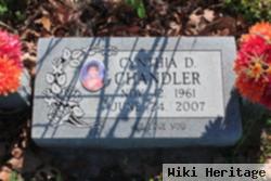 Cynthia Denise Kelner Chandler