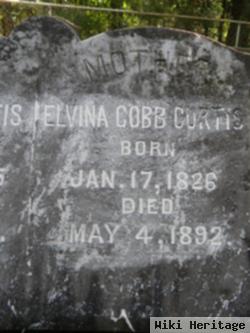 Elvina Cobb Curtis