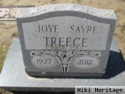 Joye Y. Sayre Broderick