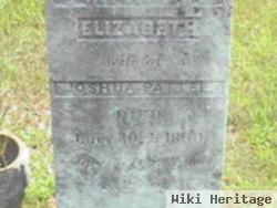 Elizabeth Hosner Pattee