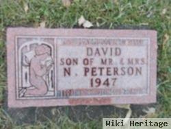 David Peterson