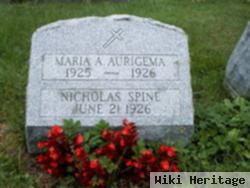 Nicholas Spine