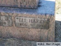 Eli Henry Herren