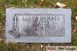 Lloyd Dombey Slater