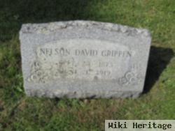Nelson David Grippen