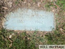 Joseph C Hoch