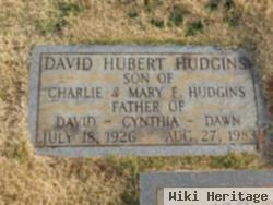 David Hubert Hudgins
