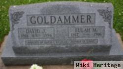 David J Goldammer