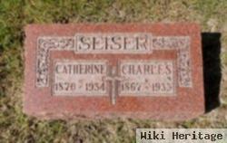 Catherine Anna "katie" Stuesser Seiser