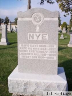 David S Nye