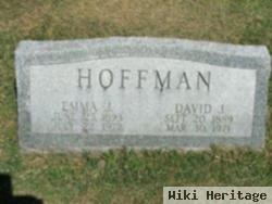 David J Hoffman