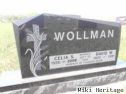 Celia S Wollman Wollman