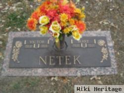 Victor Julius Netek