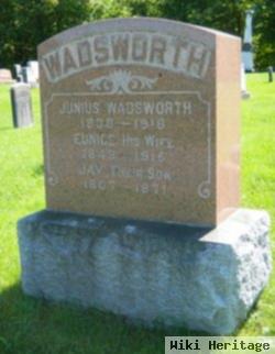 Junius Wadsworth