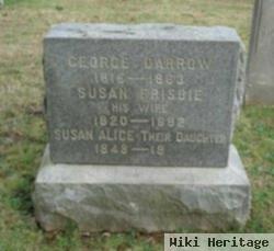 Susan Frisbie Darrow