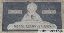 Joan Mary Evans