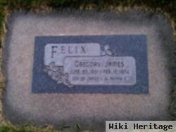 Gregory James Felix