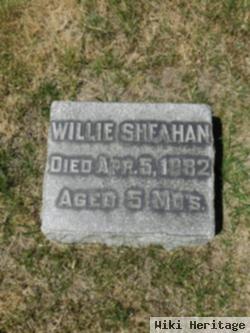 Willie Sheahan