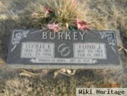 Lucille E Hughbanks Burkey