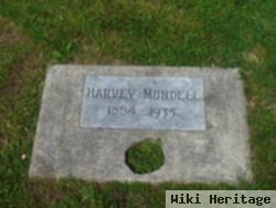 Harvey Mundell