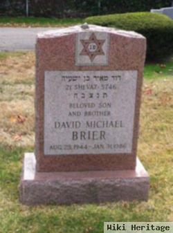 David Michael Brier