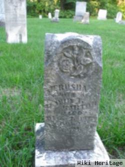 Jerusha A Kelley Barton