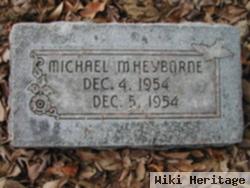 Michael M. Heyborne