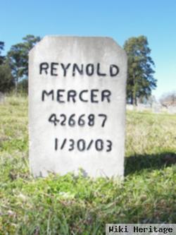 Reynold Mercer