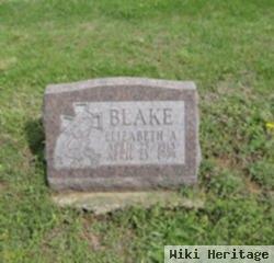 Elizabeth A. Mcdaniel Blake