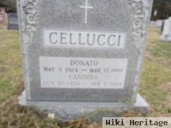 Candida Cellucci