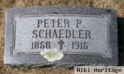 Peter P Schaedler