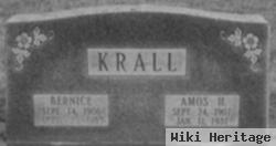 Amos H Krall