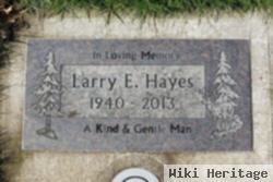 Larry E Hayes